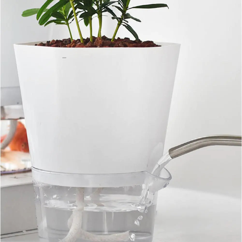 Automatic Water-Absorbing Flowerpot Zagiz