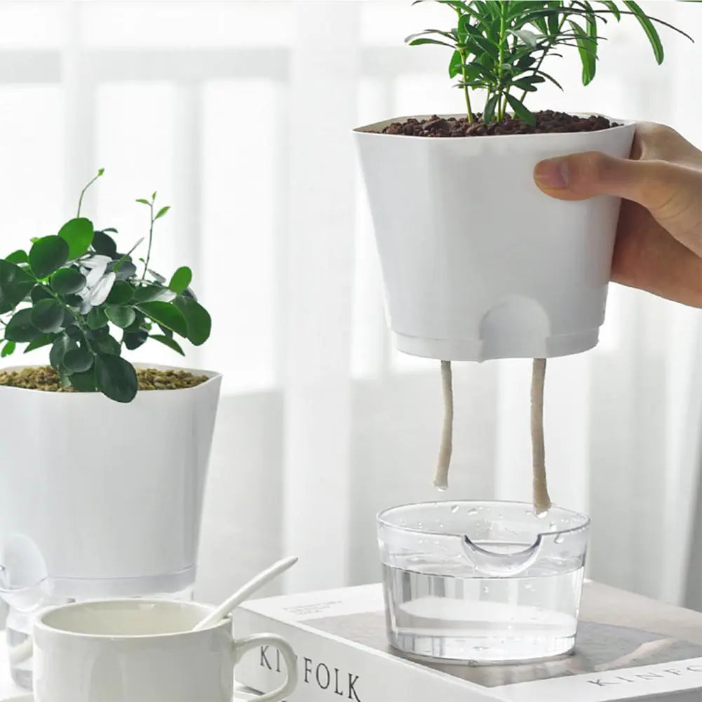 Automatic Water-Absorbing Flowerpot Zagiz