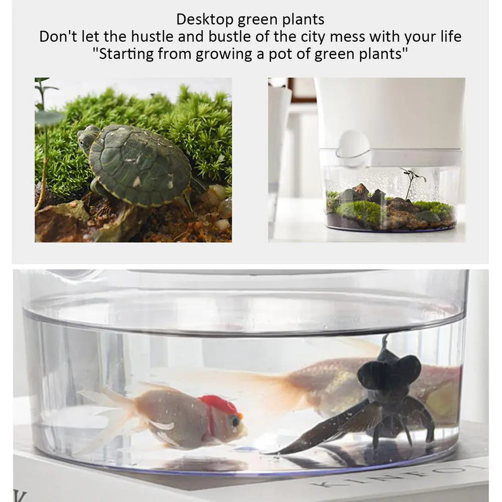 Automatic Water-Absorbing Flowerpot Zagiz