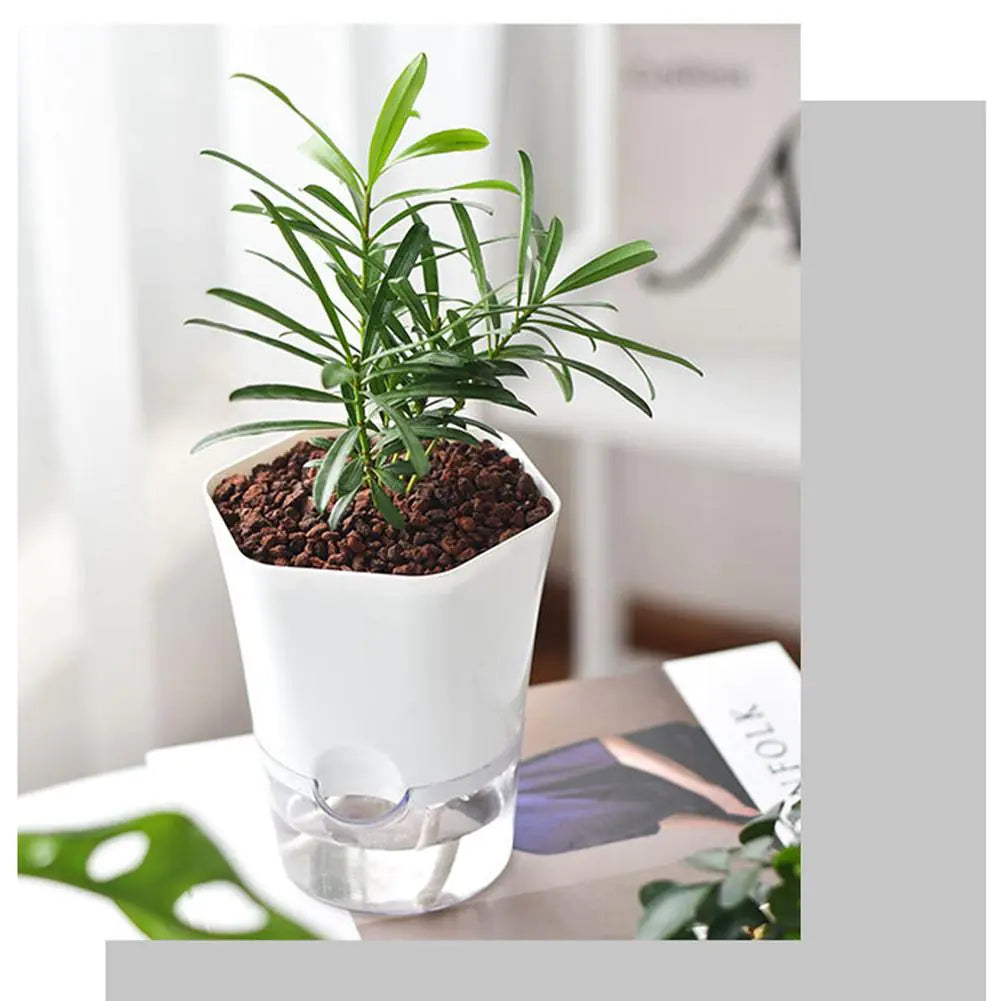 Automatic Water-Absorbing Flowerpot Zagiz
