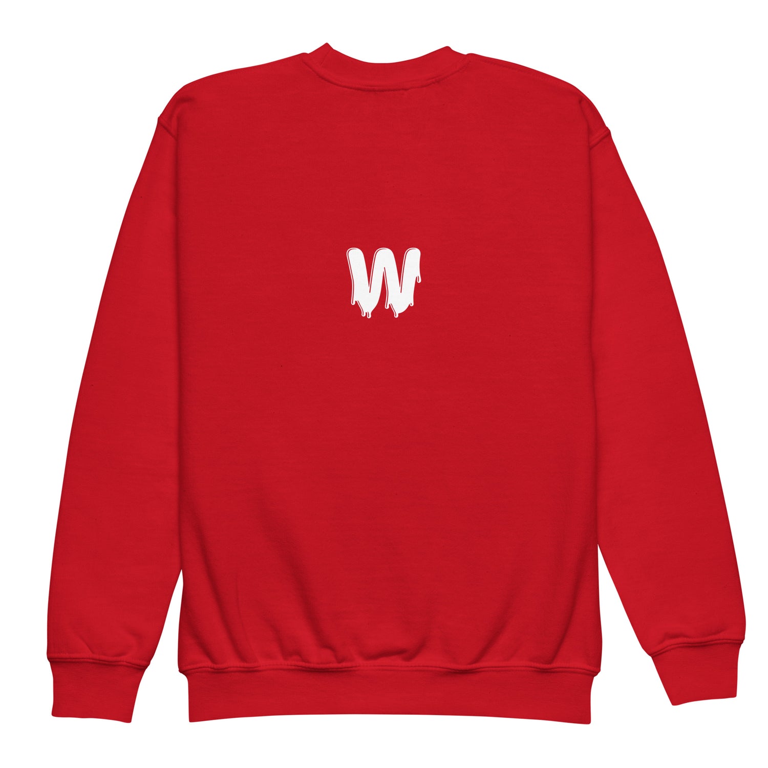 Youth crewneck sweatshirt - Highkey Zagiz