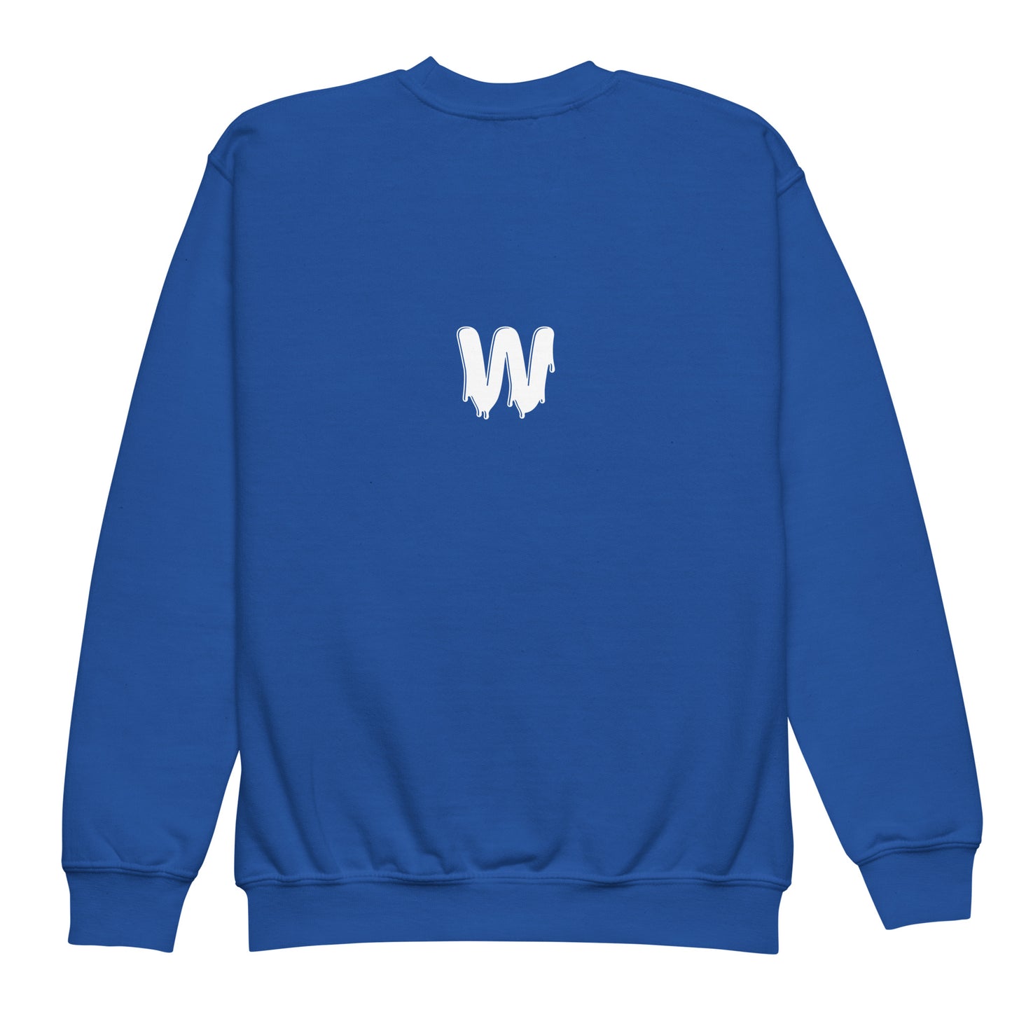 Youth crewneck sweatshirt - Highkey Zagiz