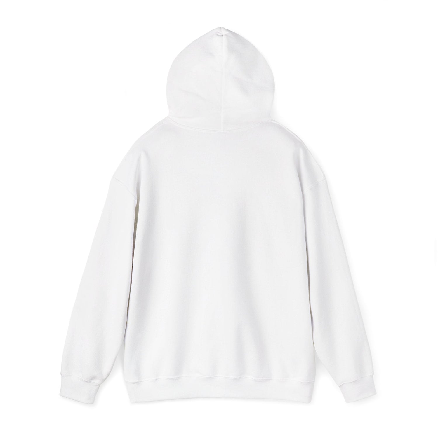Argentina Sunburst Hoodie – Retro Argentine Flag Graphic Pullover Printify