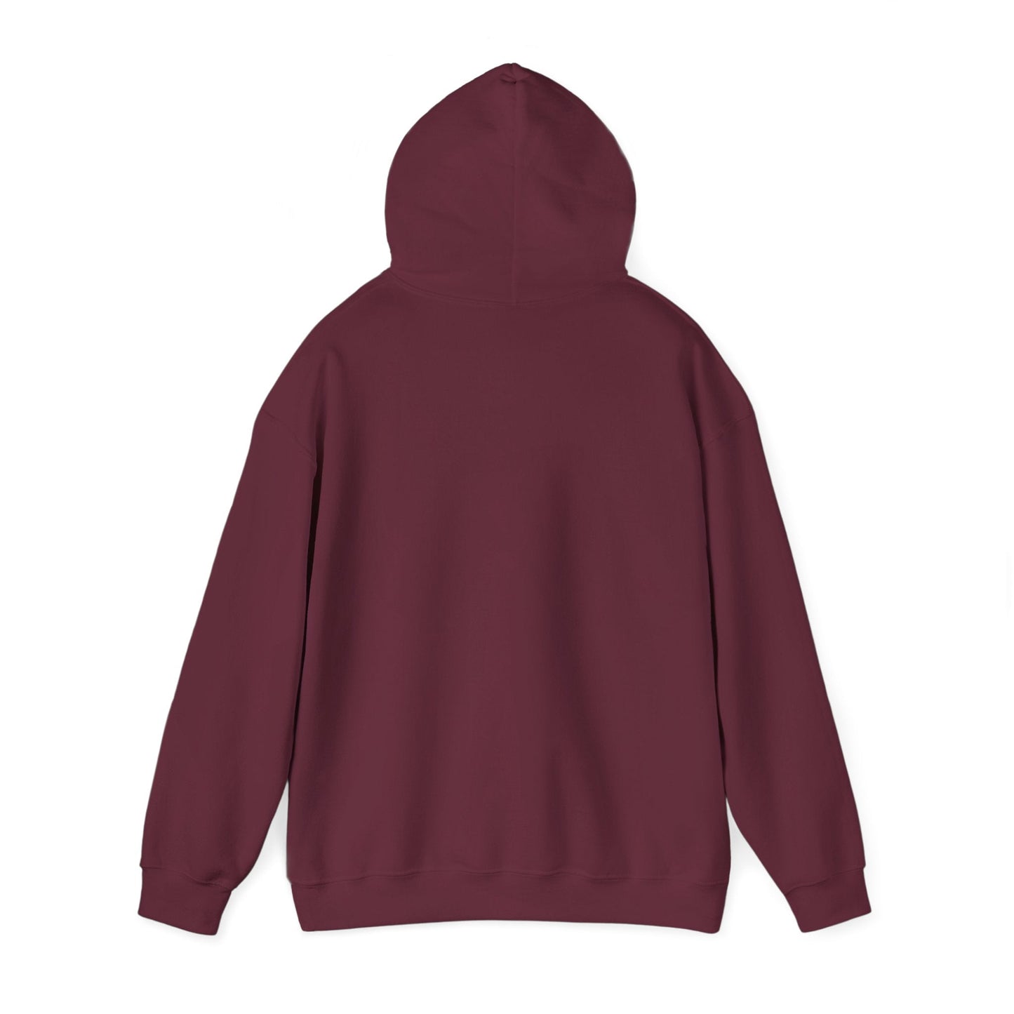 Argentina Sunburst Hoodie – Retro Argentine Flag Graphic Pullover Printify