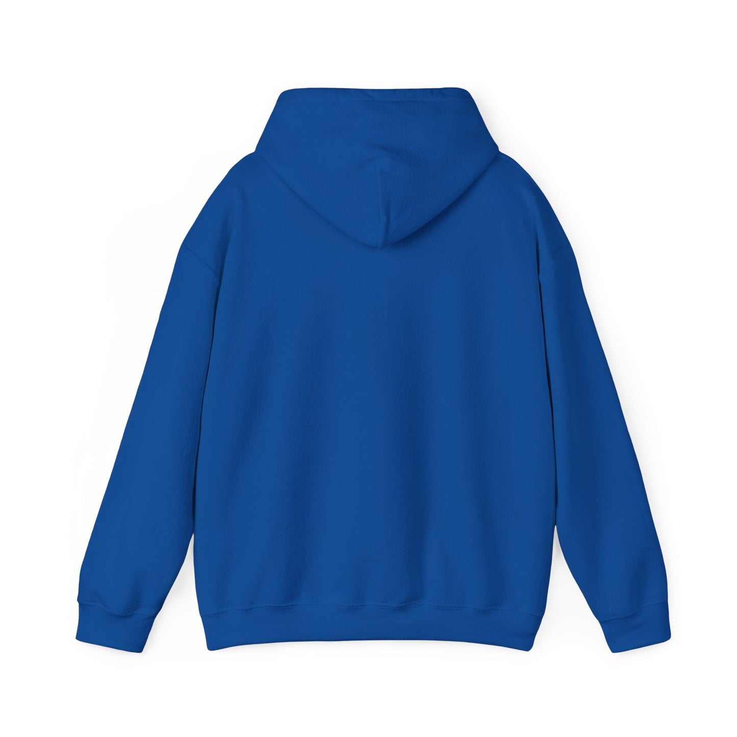 Argentina Sunburst Hoodie – Retro Argentine Flag Graphic Pullover Printify