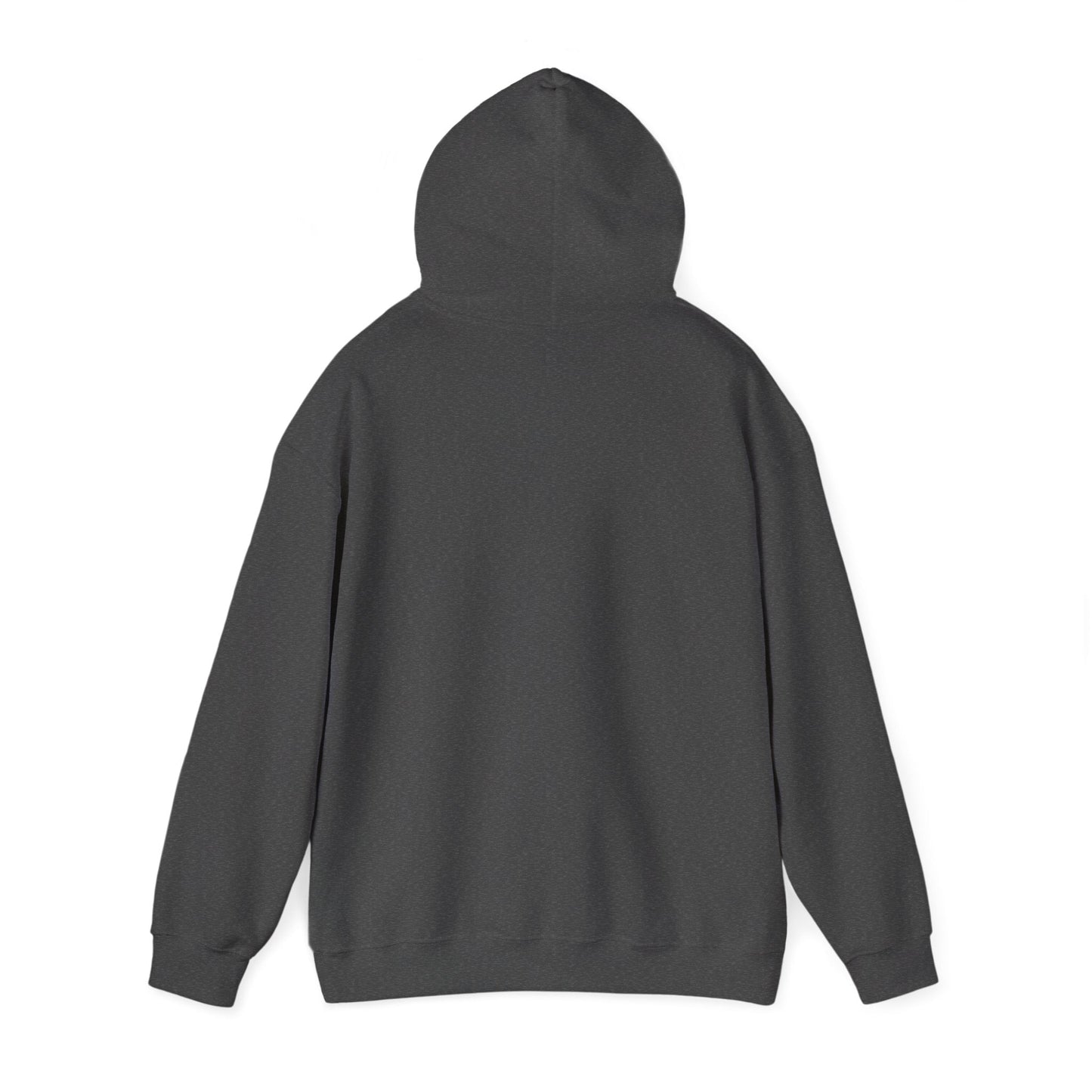 Argentina Sunburst Hoodie – Retro Argentine Flag Graphic Pullover Printify