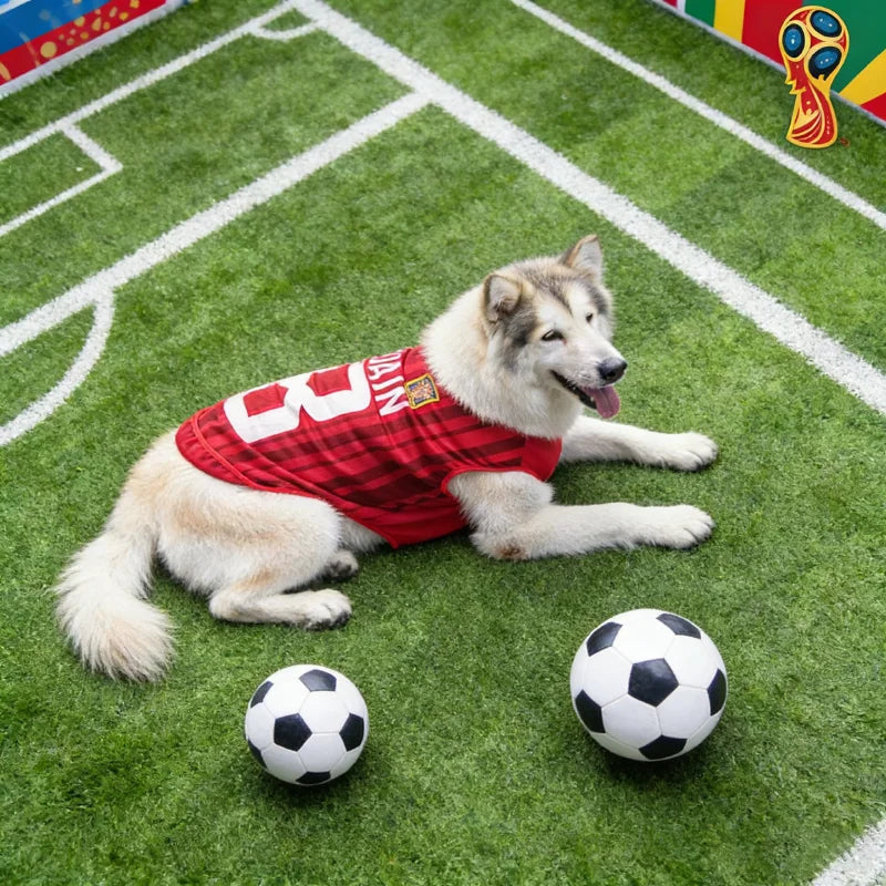 2026 Soccer Cat Dog Football Breathable Mesh Jersey Dog Jersey Thin Cool Summer Pet Clothes T Shirt Puppy Soft Quick Dry Vest Zagiz