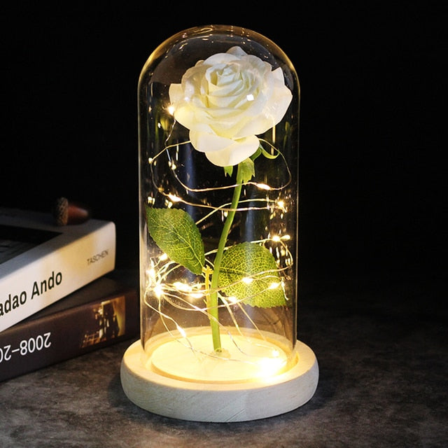 LED Enchanted Galaxy Rose Eternal 24K Gold Foil Flower With Fairy String Lights In Dome