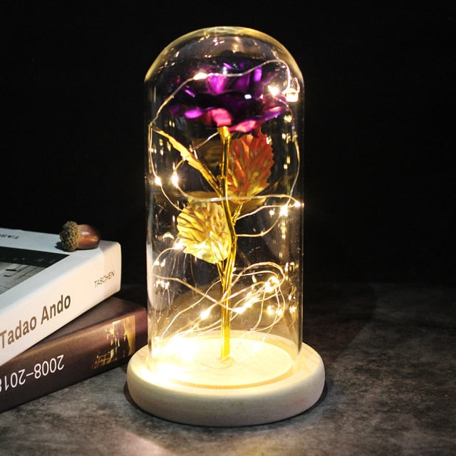 LED Enchanted Galaxy Rose Eternal 24K Gold Foil Flower With Fairy String Lights In Dome